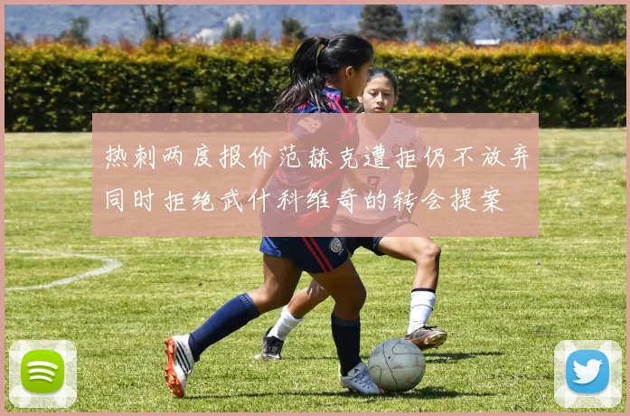 热刺两度报价范赫克遭拒仍不放弃同时拒绝武什科维奇的转会提案